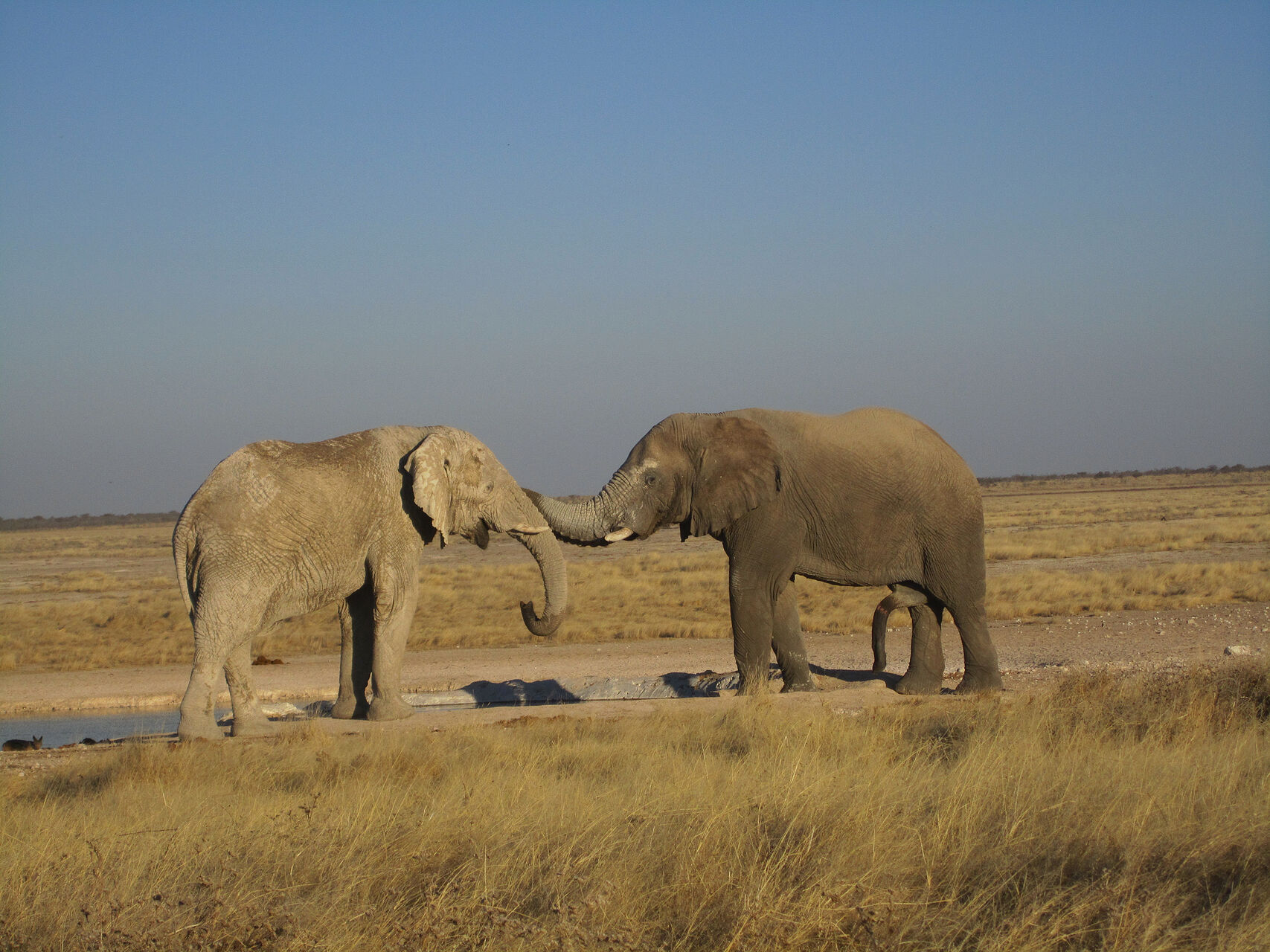 IMG_2591.jpg
