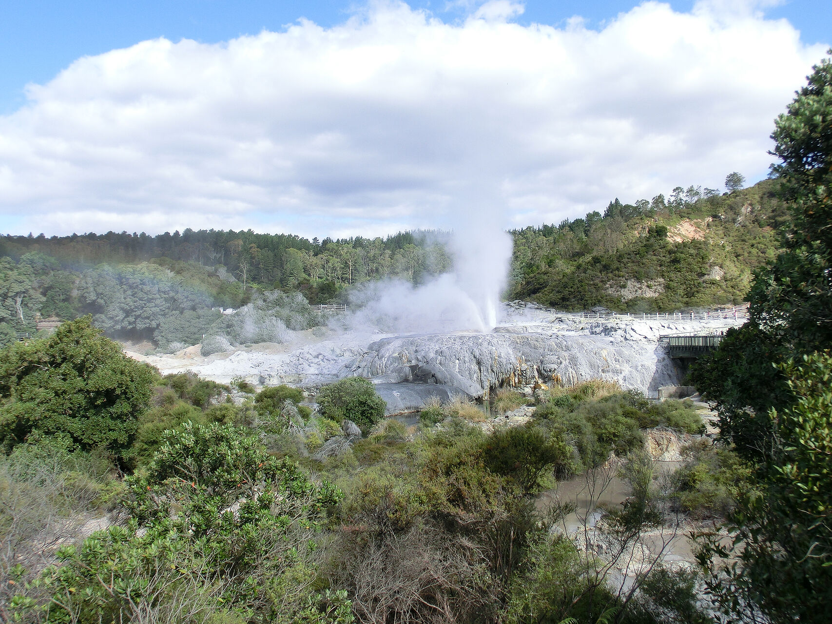 20130222-CIMG7703.jpg