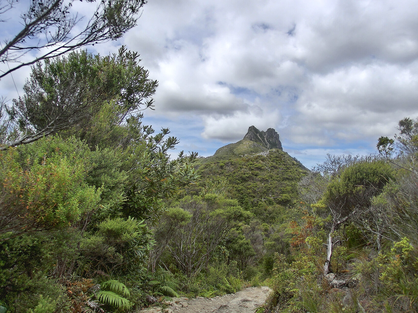 20130228-CIMG8193.jpg