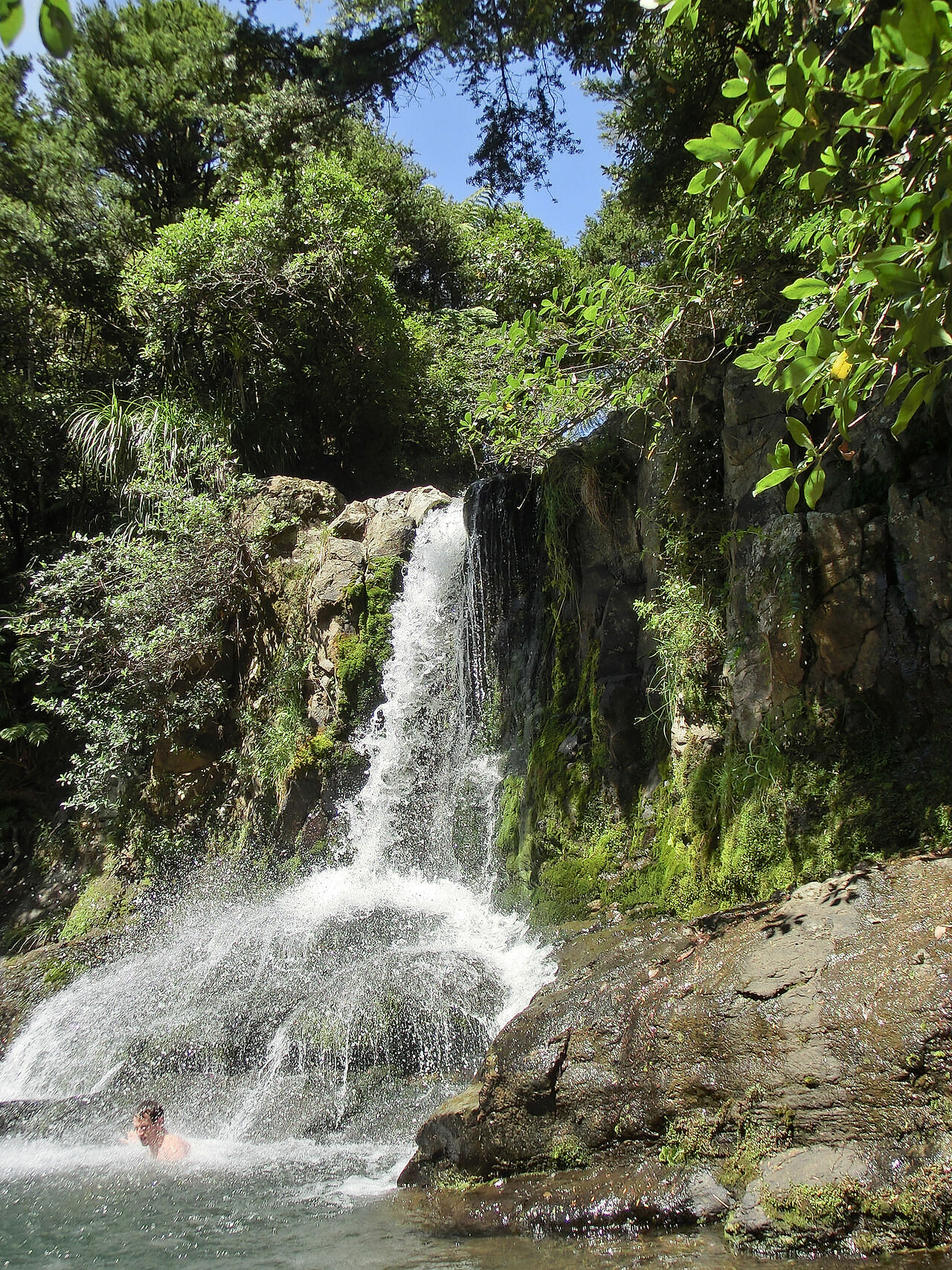 20130302-CIMG8392.jpg