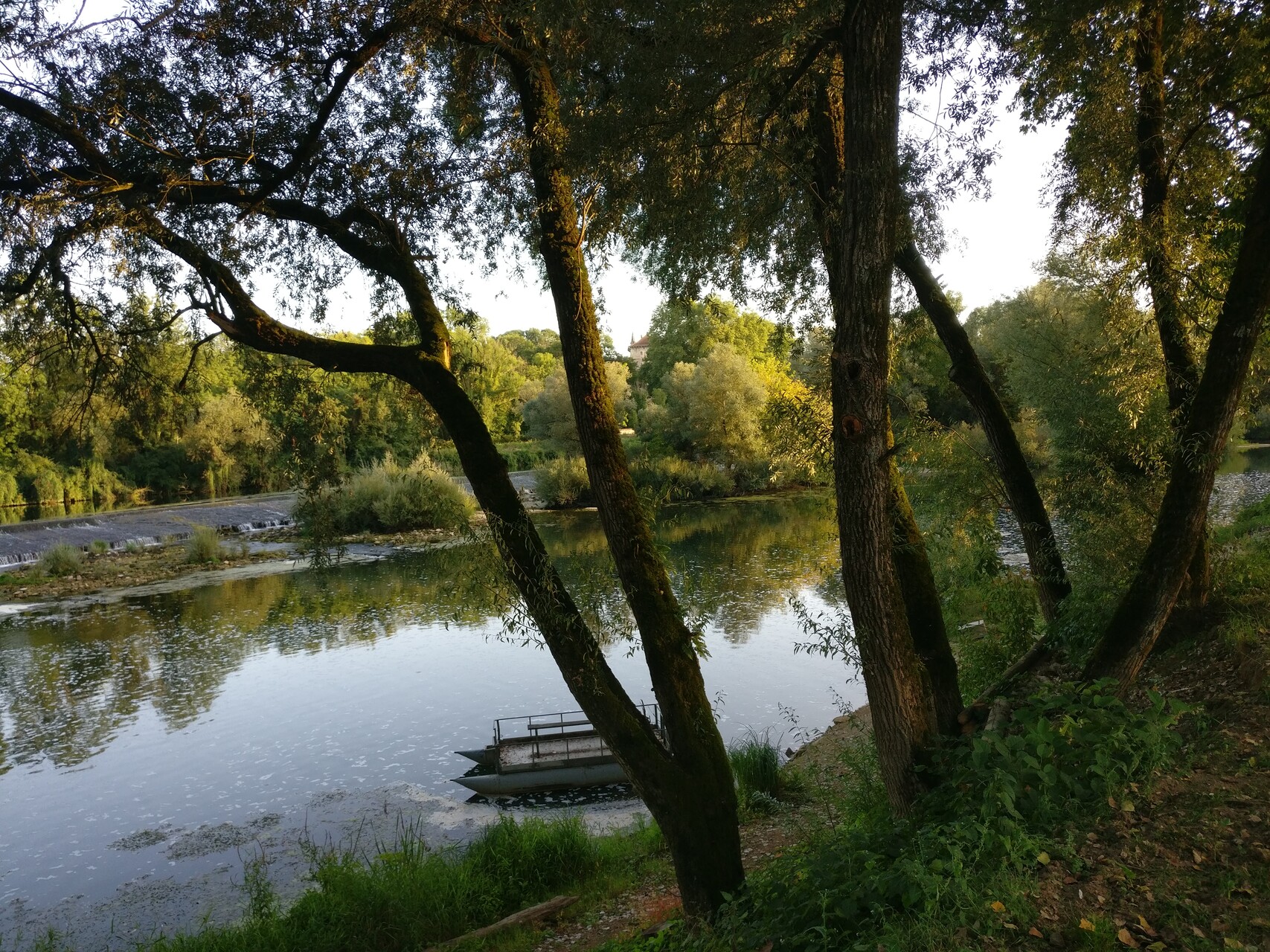 IMG_20190915_190515.jpg