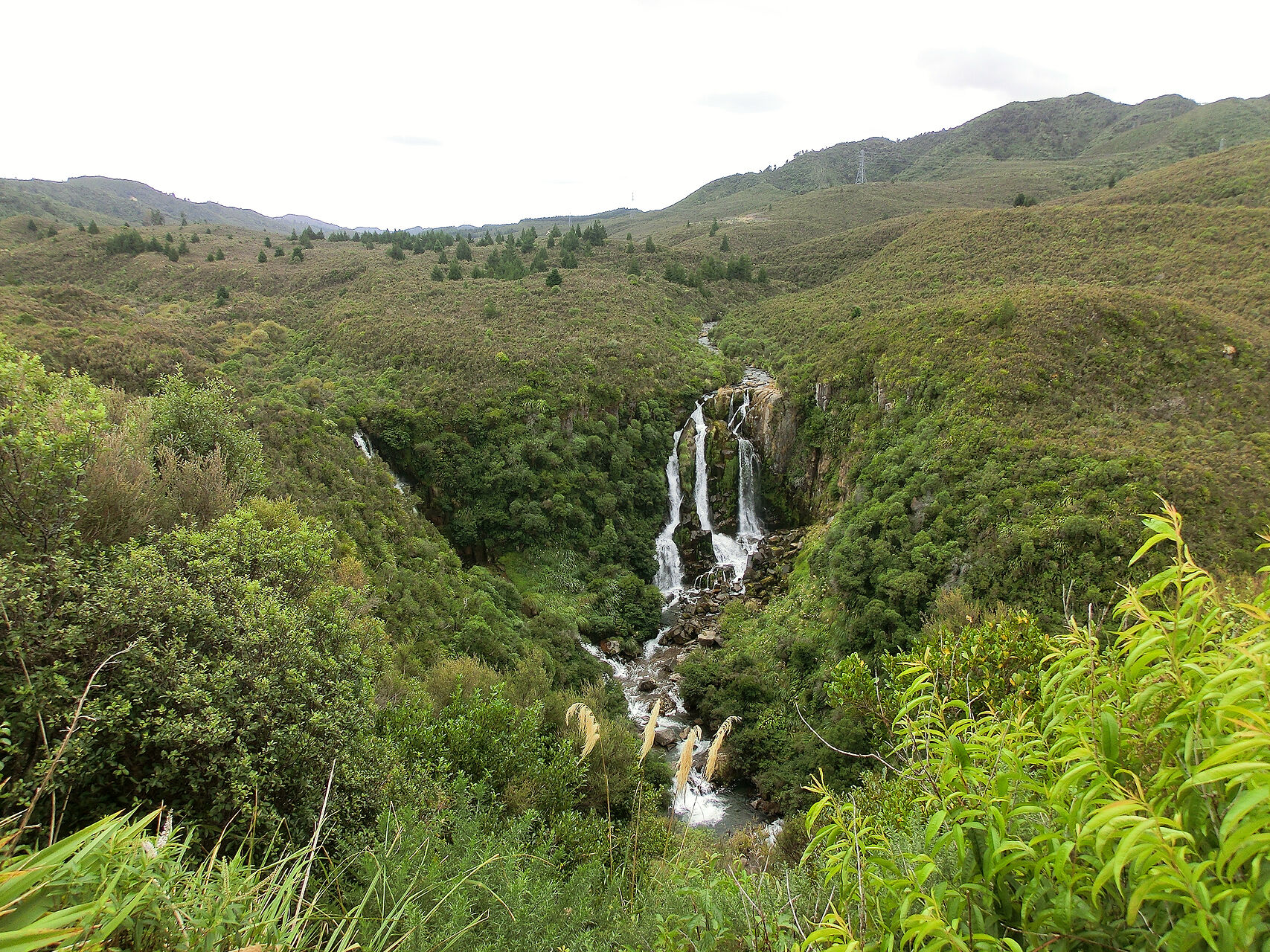 20130309-CIMG8874.jpg