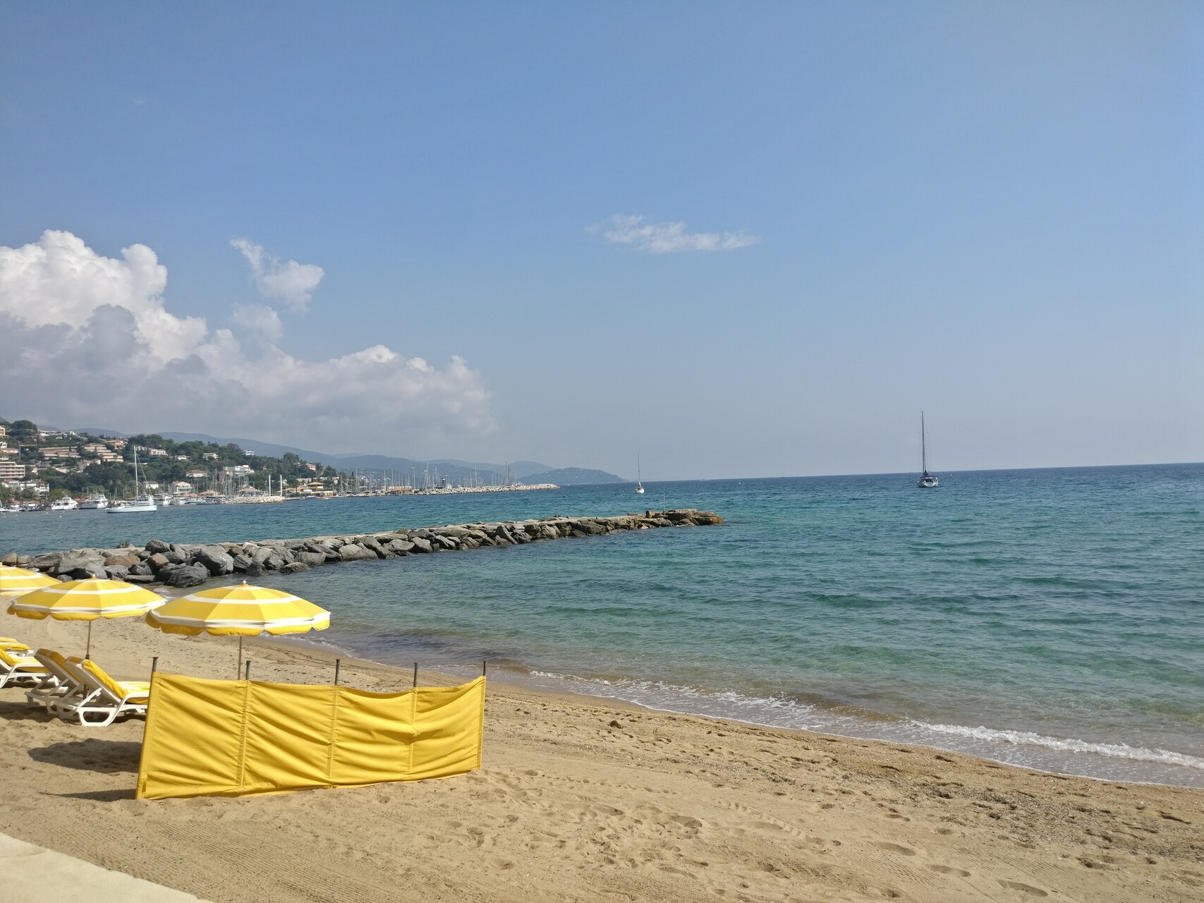 IMG_20190919_125736.jpg