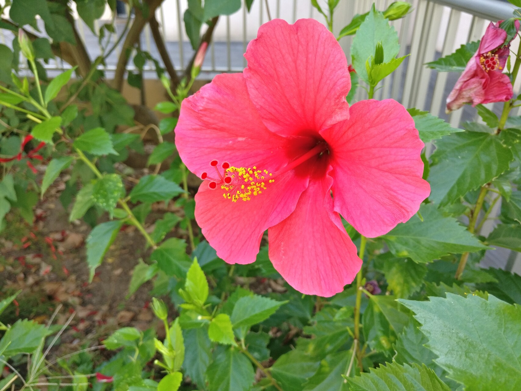 IMG_20190919_164326.jpg