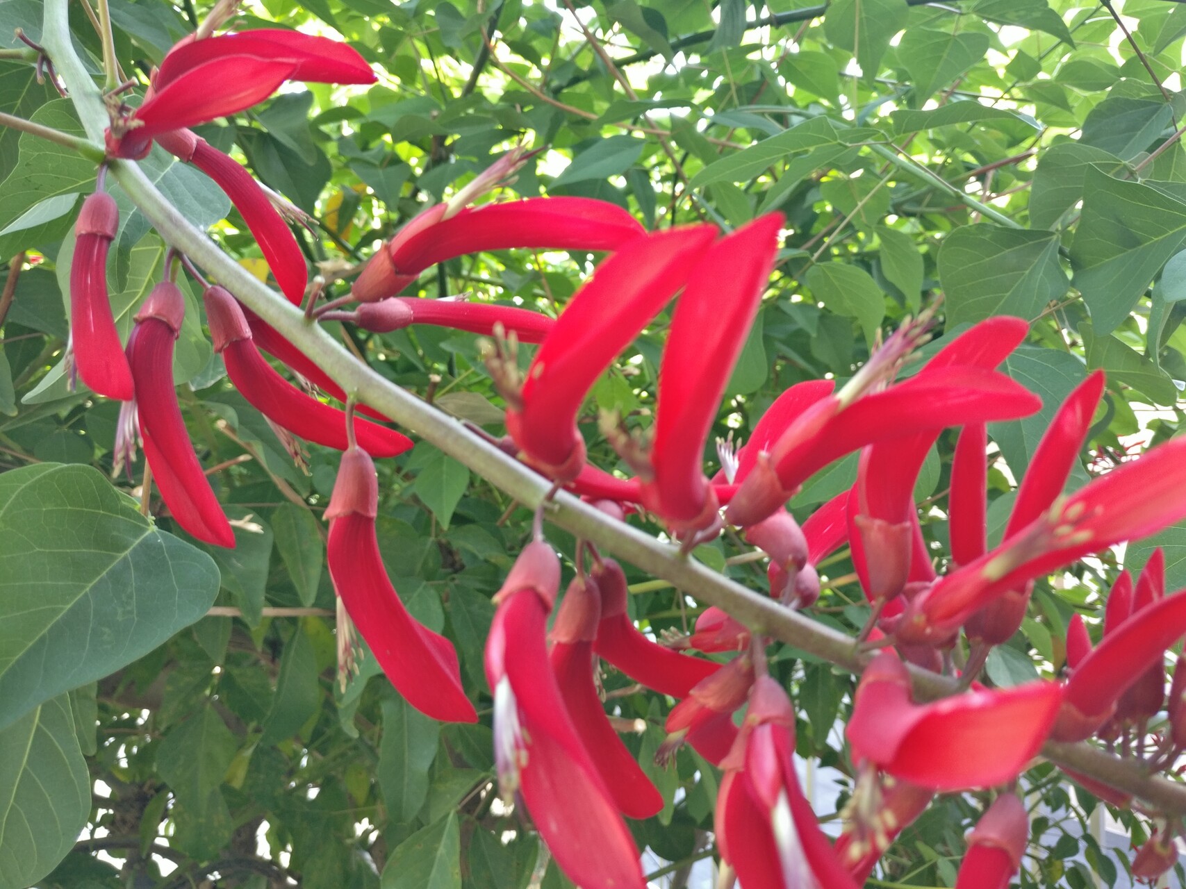 IMG_20190919_164337.jpg