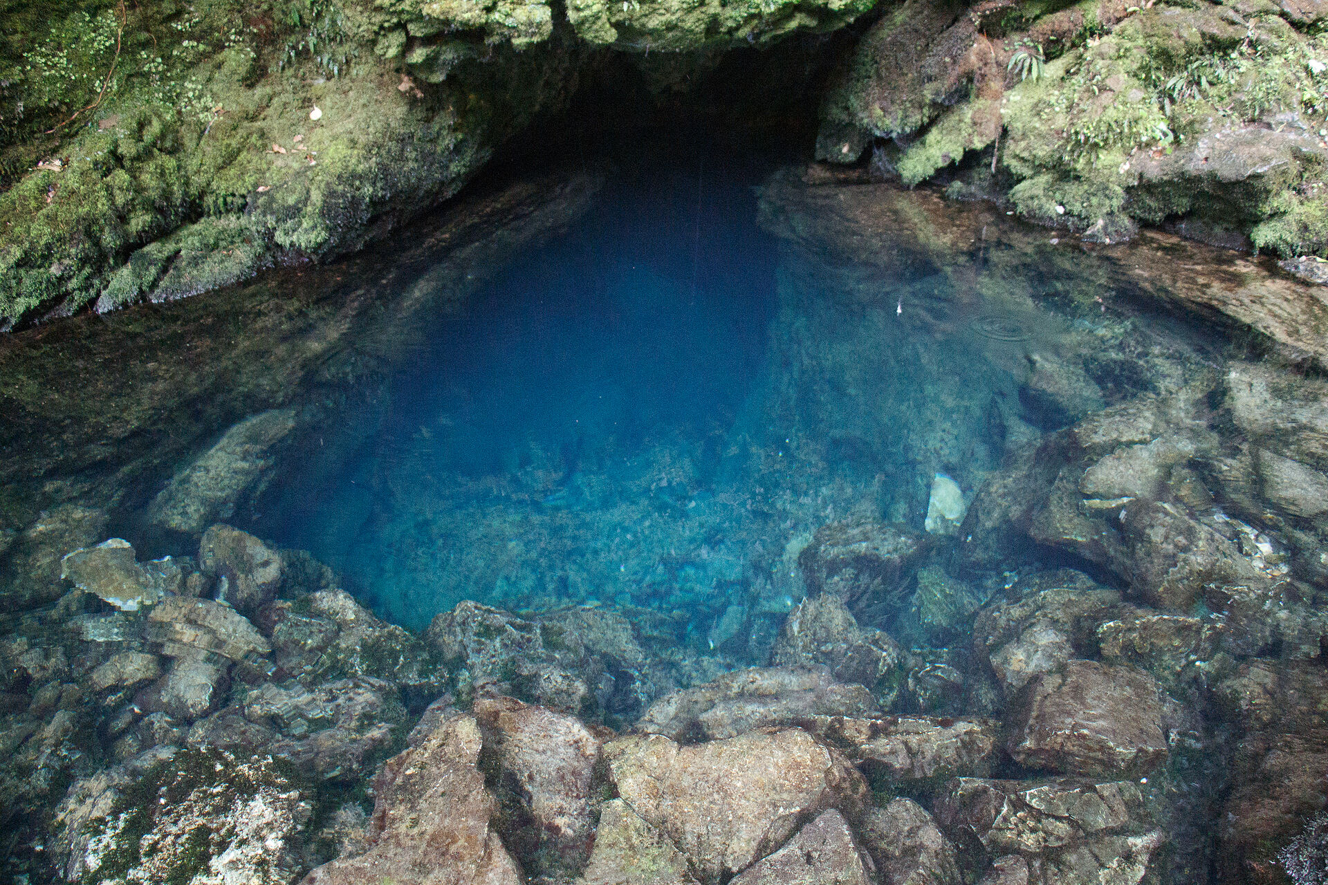 20130318-IMG_6069.jpg