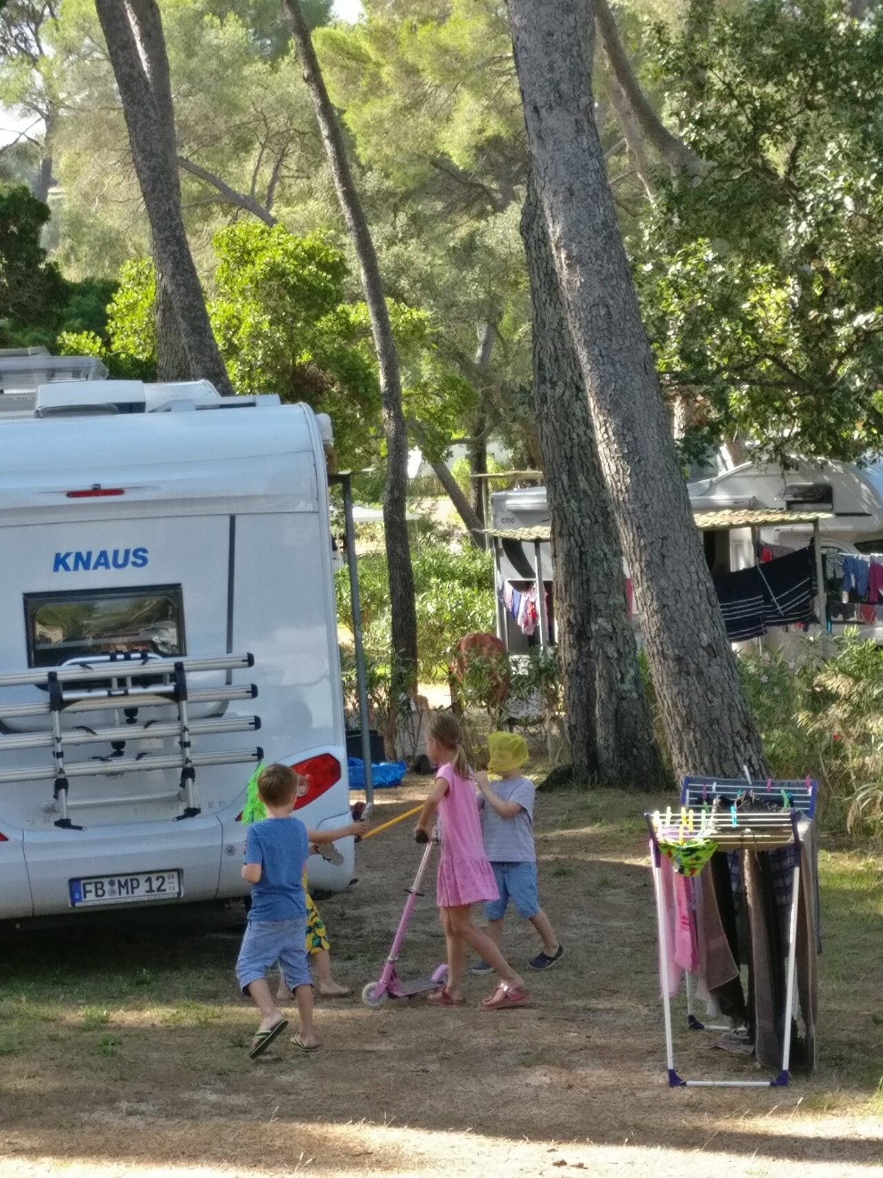 IMG_20190920_113453.jpg