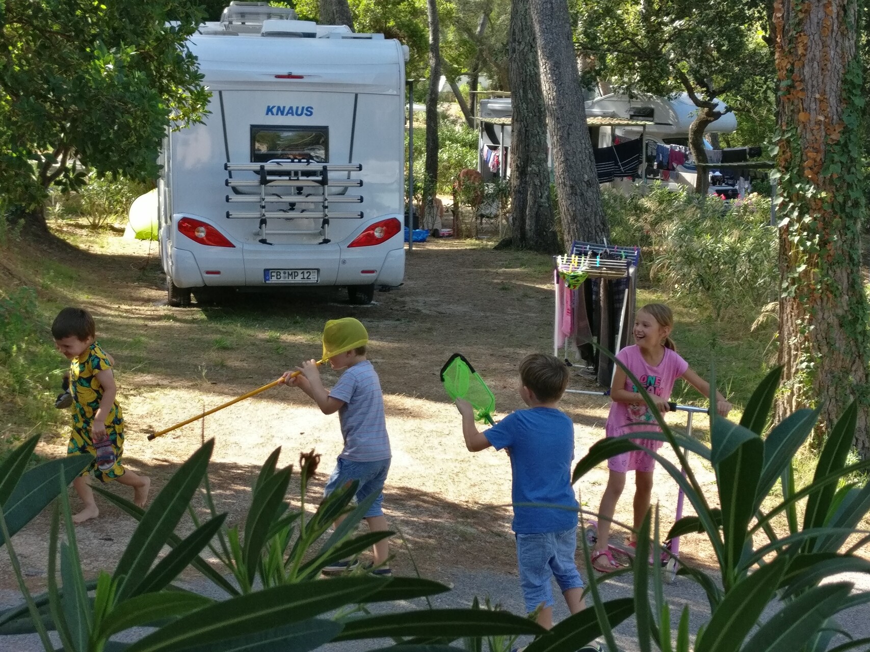 IMG_20190920_113516.jpg
