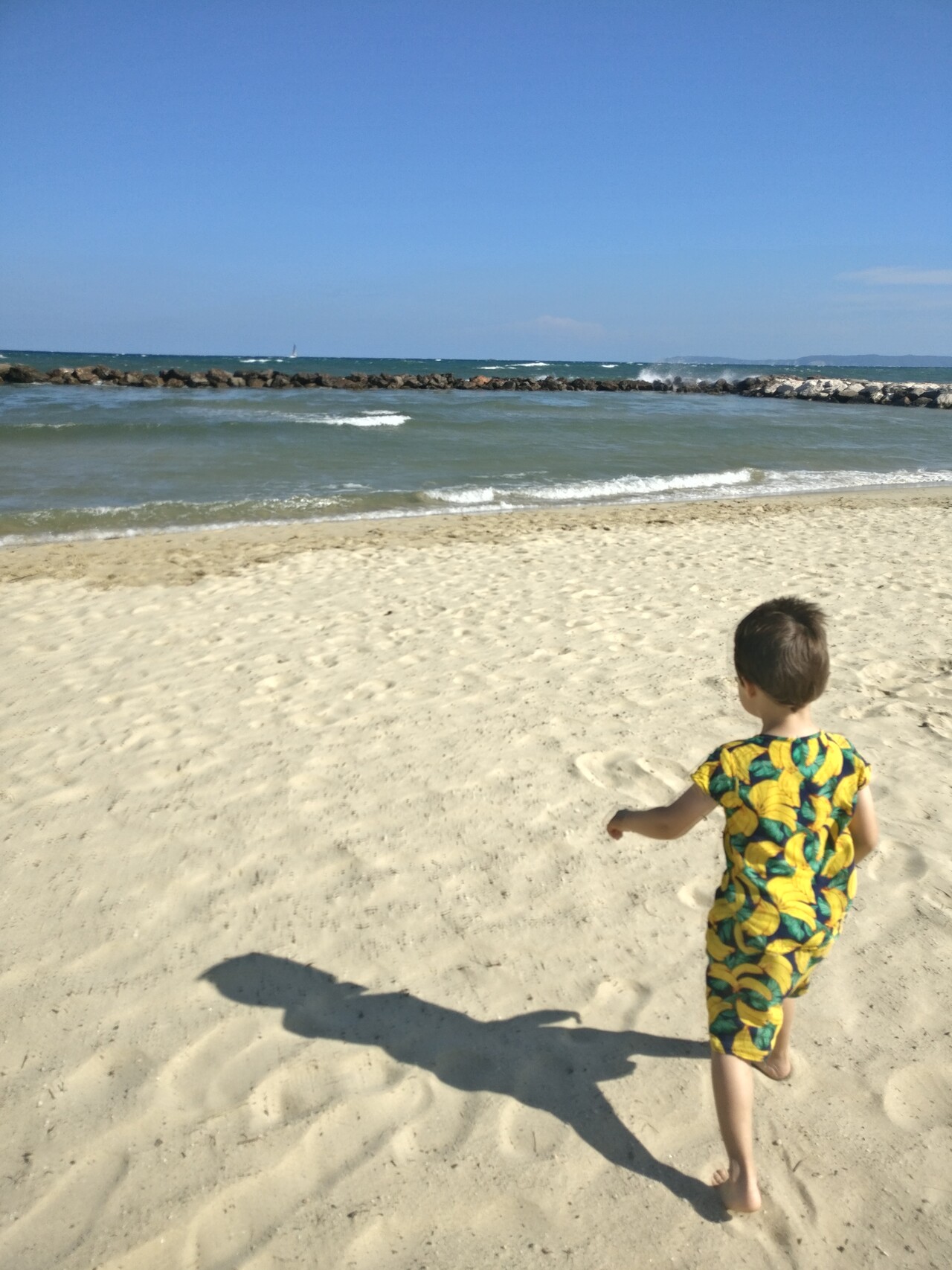 IMG_20190920_152800.jpg