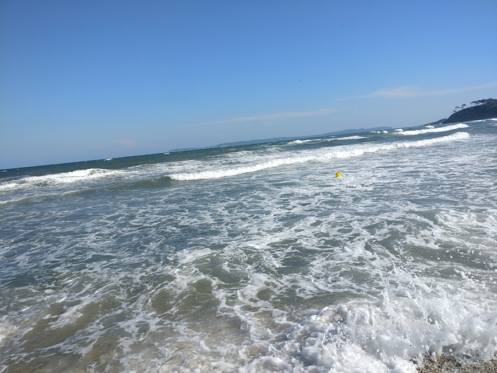 IMG_20190920_161516.jpg