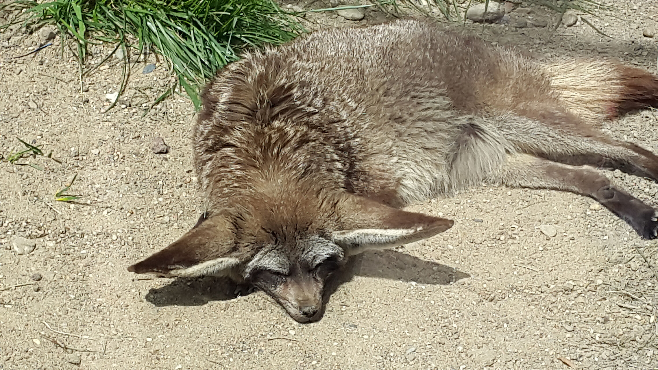 20160508-20160508_115939.jpg