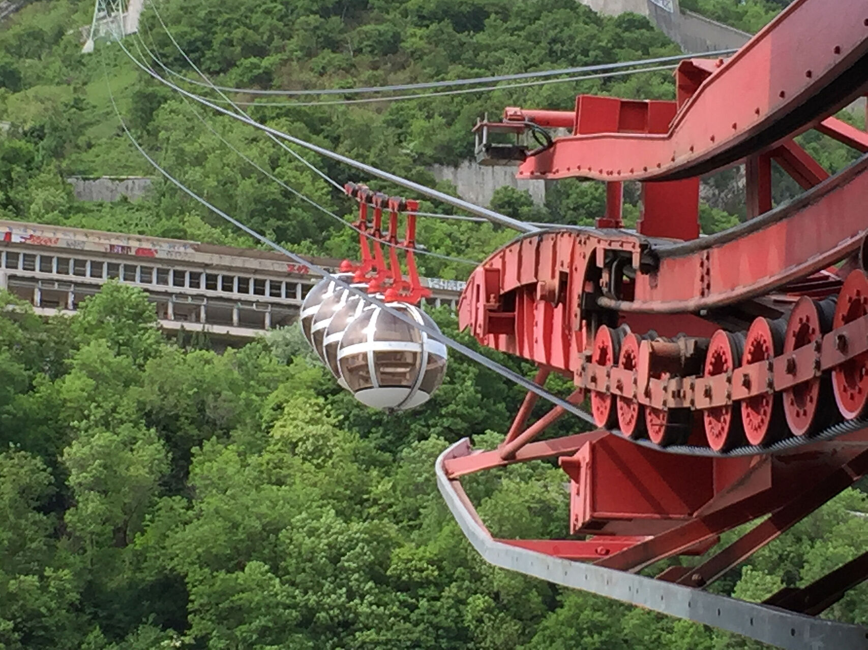 20160510-IMG_1454.jpg