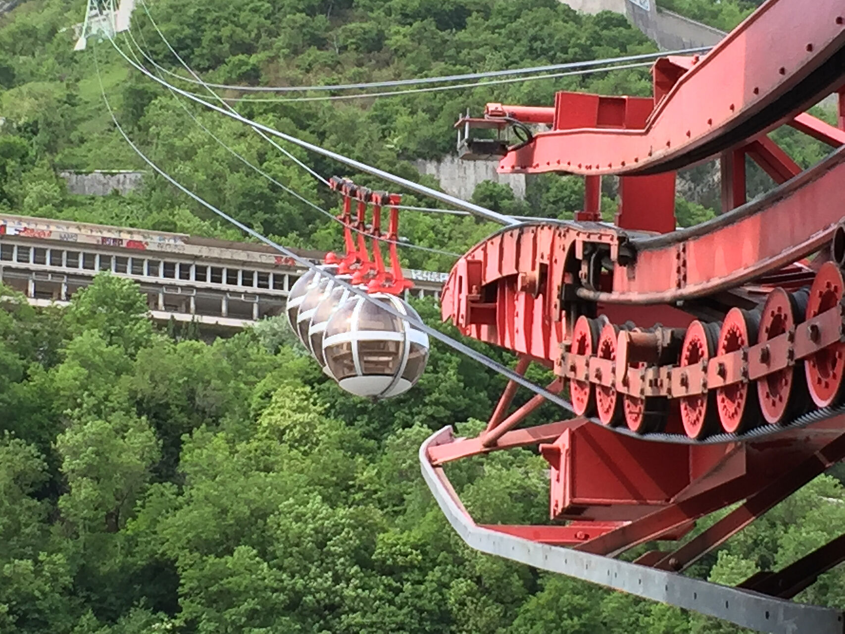 20160510-IMG_1455.jpg