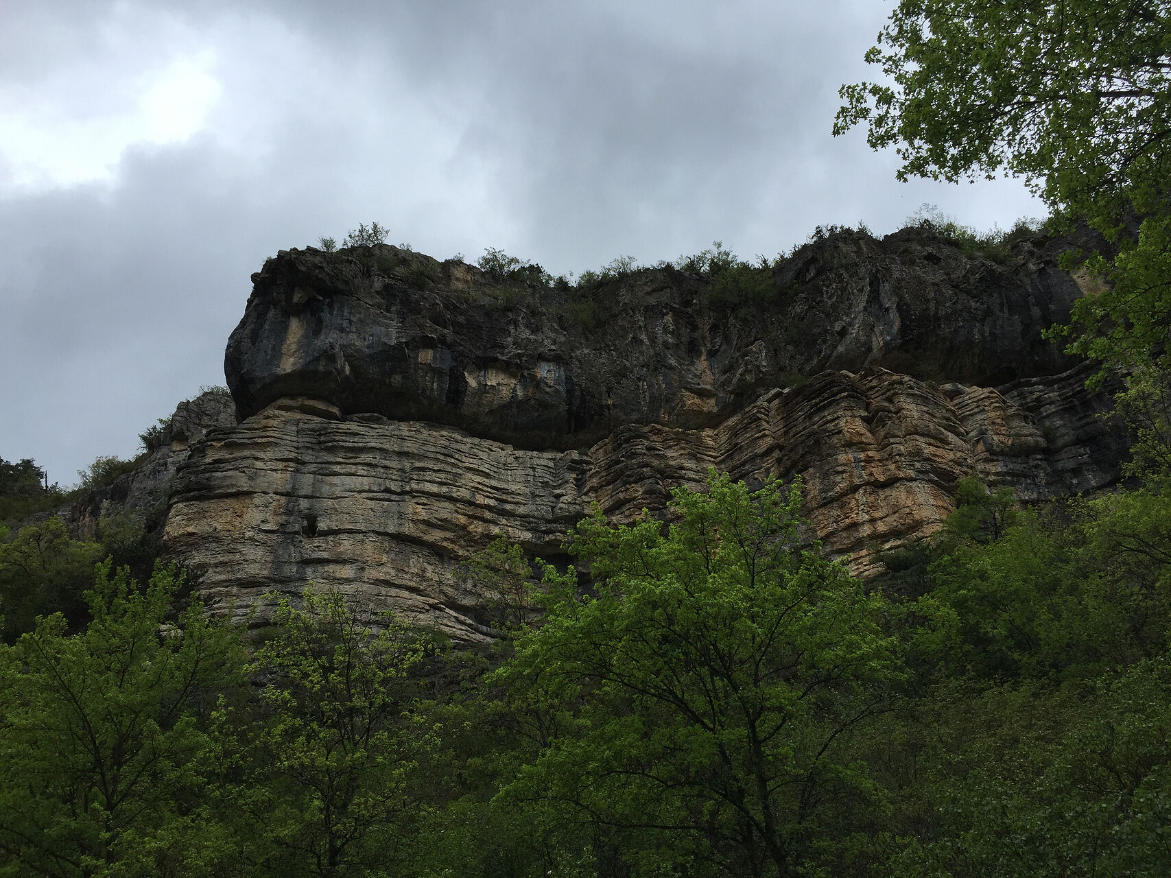 20160511-IMG_1531.jpg