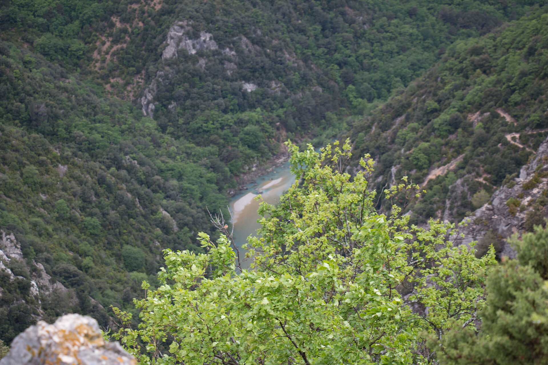 20160512-IMG_7161.jpg