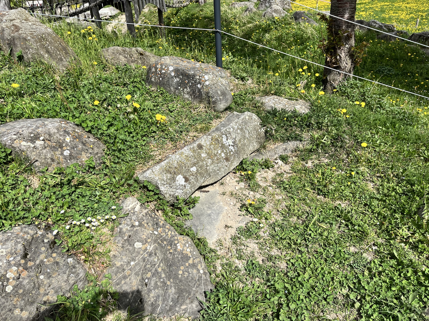 IMG_8492.HEIC
