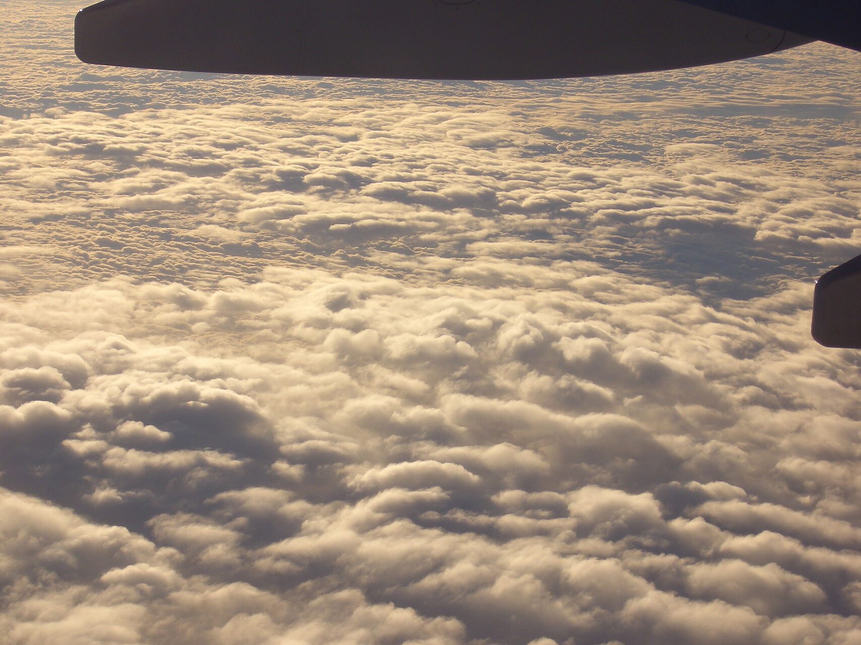 21.03.2006 06-54-38_006.jpg