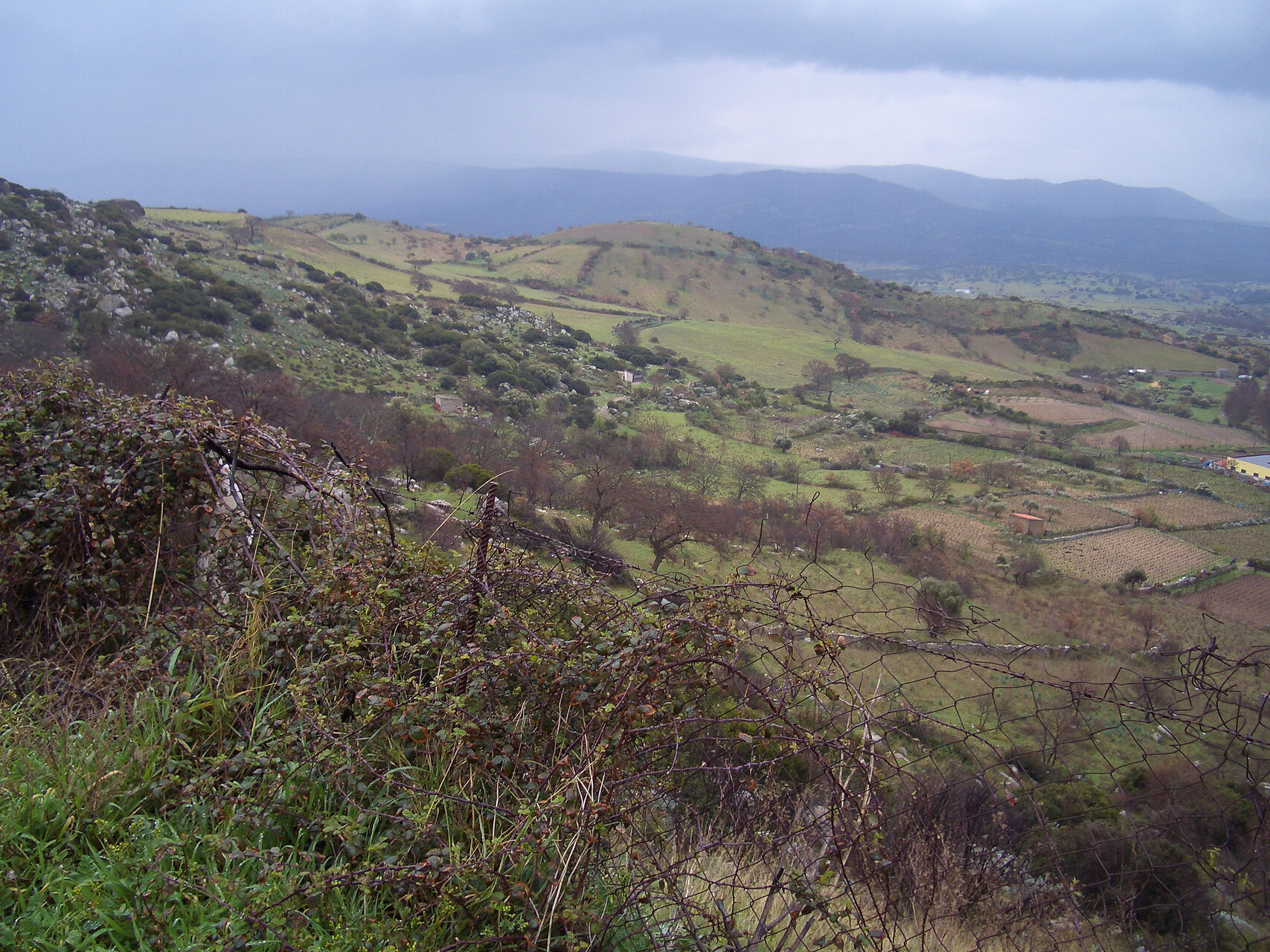 22.03.2006 13-02-58_160.jpg