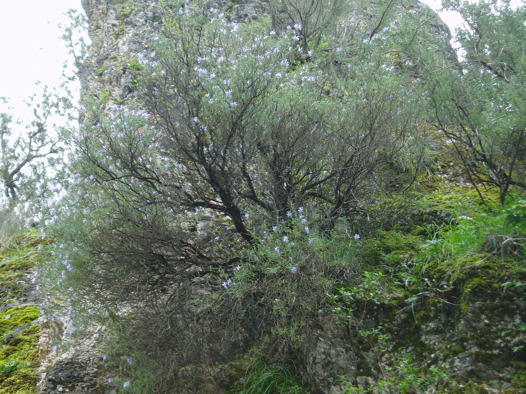 22.03.2006 16-13-08_205.jpg