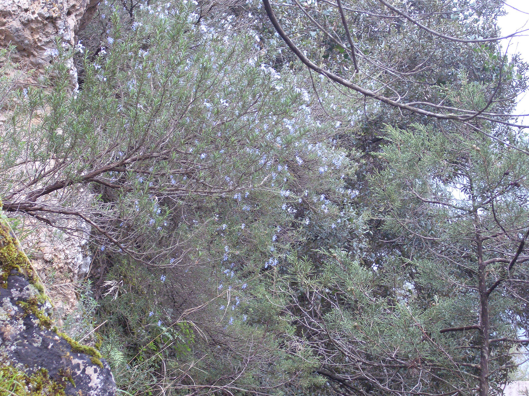 22.03.2006 16-13-22_206.jpg