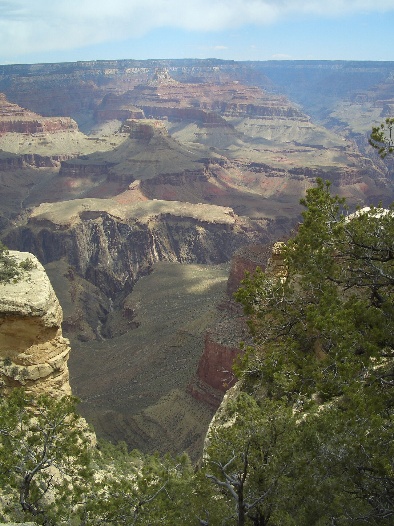 05.05.2008 10-56-18_442.jpg