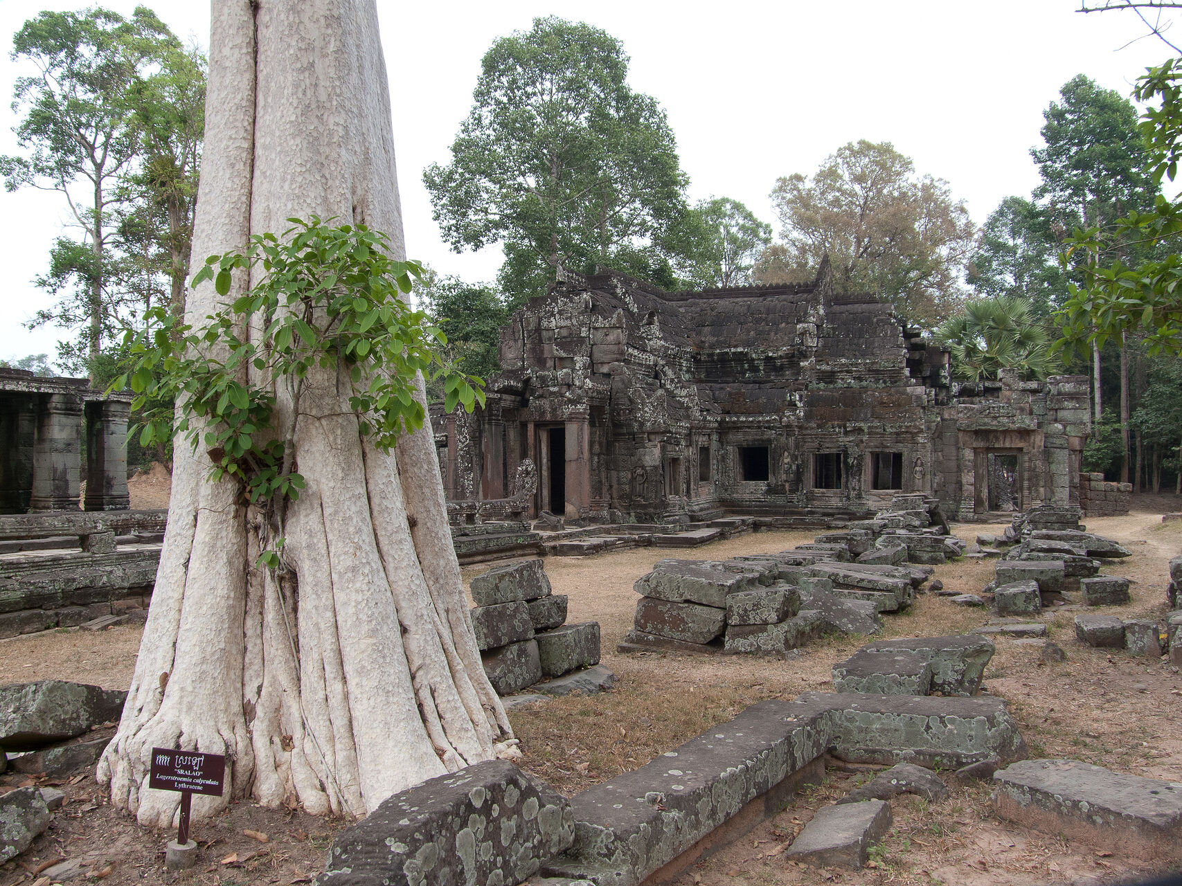 20100119-Thailand-P1160935.jpg